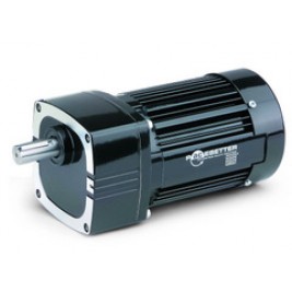 GEAR MOTOR 42R6BFPPFX1